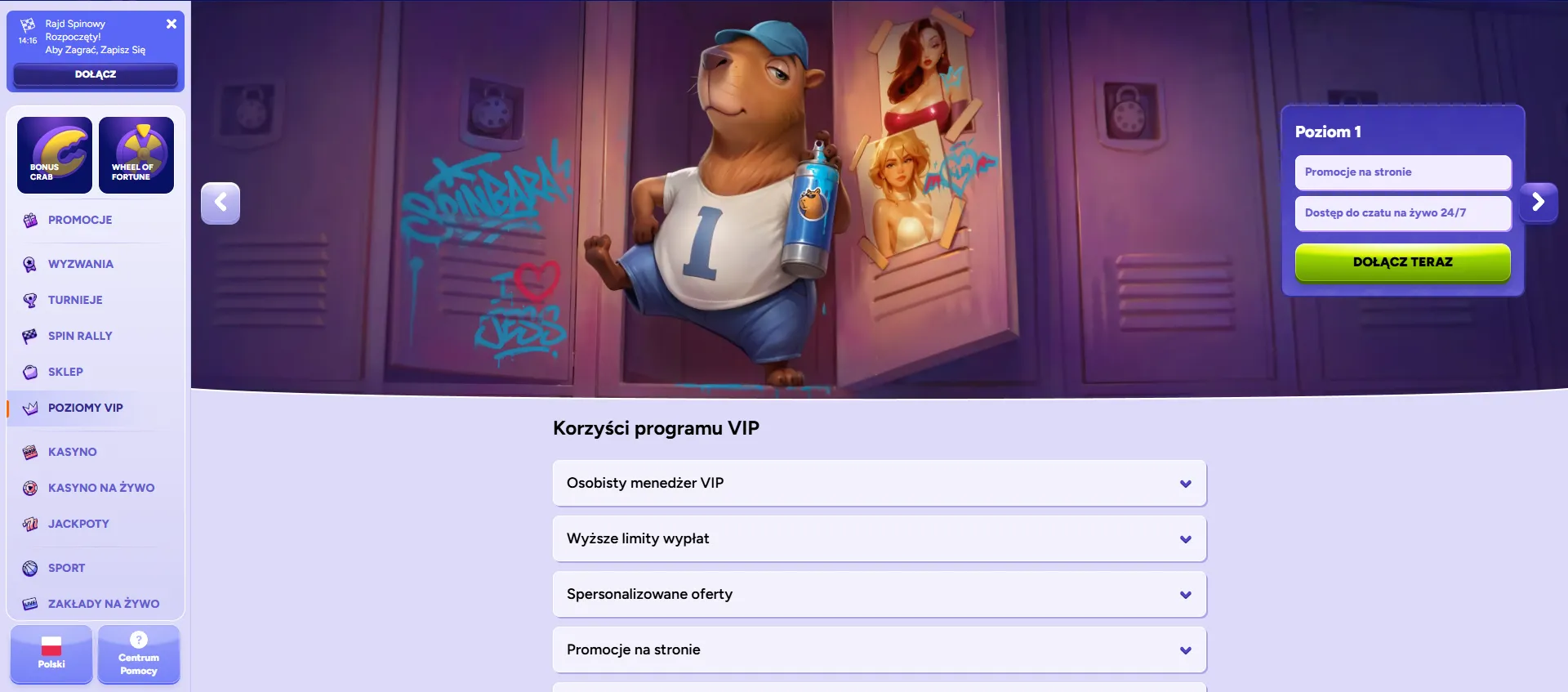 Propozycje bonusowe SpinBara Casino Propozycje bonusowe SpinBara Casino